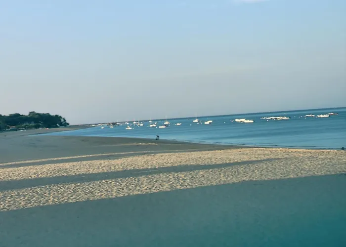 Au Bord De L\'Eau Rend La Vie A Arcachon