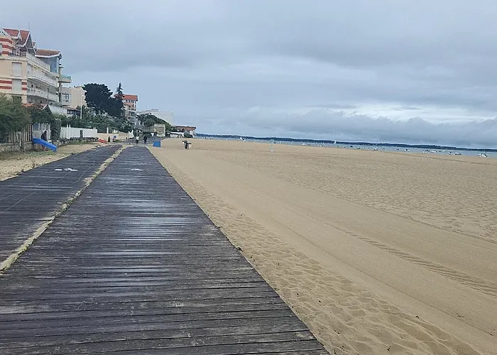 Au Bord De L\'Eau Rend La Vie A Arcachon